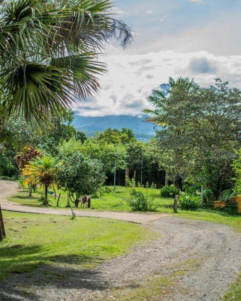 Linda Casa De Verano Con Amplias Zonas Verdes San Isidro De El General Exterior photo